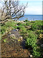 The stream running down to the beach at St Loy