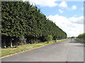 The entrance to Banham Farm, Fifield