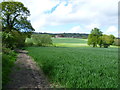 Footpath towards Birling Place Farm