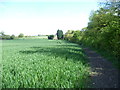 Footpath to Birling