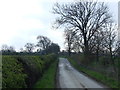 Lane towards Eachwick Moor