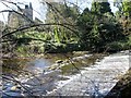 Weir  on  River  Nidd  with  Castlesteads  beyond