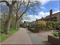 SJ8445 : Newcastle-under-Lyme: houses on Priory Road by Jonathan Hutchins