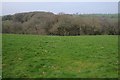 View to Buckland Brewer