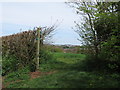 Footpath signpost, Layham