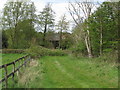 Track near pasture, Scotland Street, Stoke-by-Nayland 