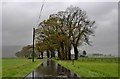 Chalmerston Road across Drip Moss