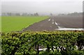 Hawthorn hedge and arable land at Chalmerston