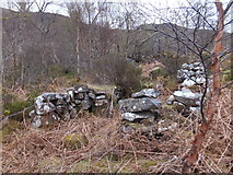 NG8749 : Stone Structure at Badan Bheag by Alpin Stewart
