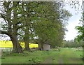 Horse and sheep on the bridleway