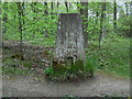 SP8906 : Triangulation Pillar in Great Widmoor Wood by David Hillas