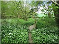 Footpath to Woodknowle Farm