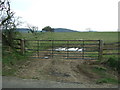 Field entrance near Belsay Dene House