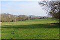 Field, Minterne Magna