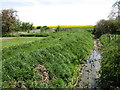 Drain by the chapel