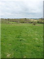 Footpath below Cleedsmore Farm