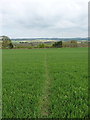 Realigned path near Cleedsmore Farm