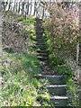 Hebden Royd FP7 (2)  Steps near Keighley Road, Hebden Bridge