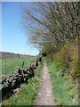 Hebden Royd FP7 (9), Hebden Bridge,  passing bushes