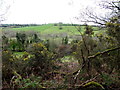 Mulnagork Townland