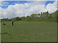 Meadow with dog walker, Astbury Mere Country Park