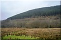 Afon Twymyn Valley