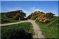 Path leading to the top of Castle Hill