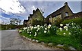 Minster Lovell: The Old Swan