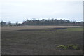 SJ3428 : Flat Shropshire landscape by N Chadwick
