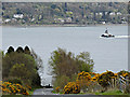 Peaton Road and the Gareloch