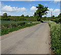 Dean Road towards West Tytherley