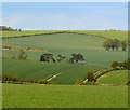 SU3280 : Fields near Lambourn, Berkshire by Edmund Shaw