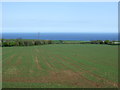 Crop field near Oldhamstocks Mains