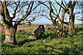 Netherton of Logie Recumbent Stone Circle (5)