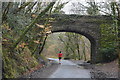 SX5259 : Bridge over the West Devon Way by N Chadwick