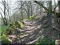 Old track south of North Dean Road, Greetland