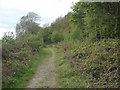 Footpath at woodland edge, Graig Fawr, Margam