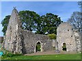 Remains of St Etheldreda