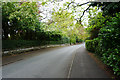 Leafy lane in Bowdon