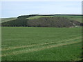 NT7861 : Farmland near Blackerstone by JThomas