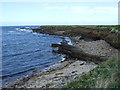 Beadnell Haven