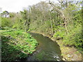 The Dighty Burn at Balmossie