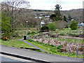 Footpath at Garelochhead