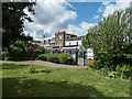 Community Garden, Myddleton Road, London N22