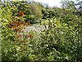 Norman Park - viewed from Birkby Hall Road