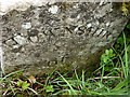 NY6405 : Boundary stone near Longdale (2) by Karl and Ali
