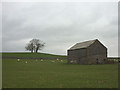 Field barn near Wain Gap