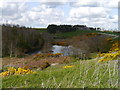 Shooting Pond On The Kirk Burn