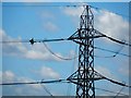 TL2400 : Worker on power transmission lines by Bikeboy