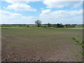 Fields near Water Eaton